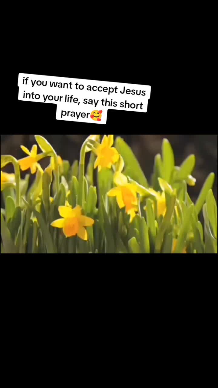 @savedbygrace