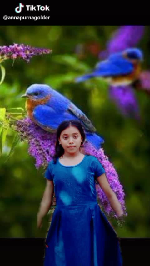 @user391286354348