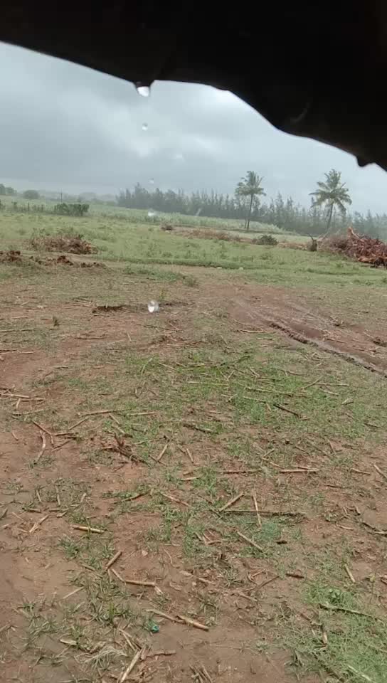 @Murugan G