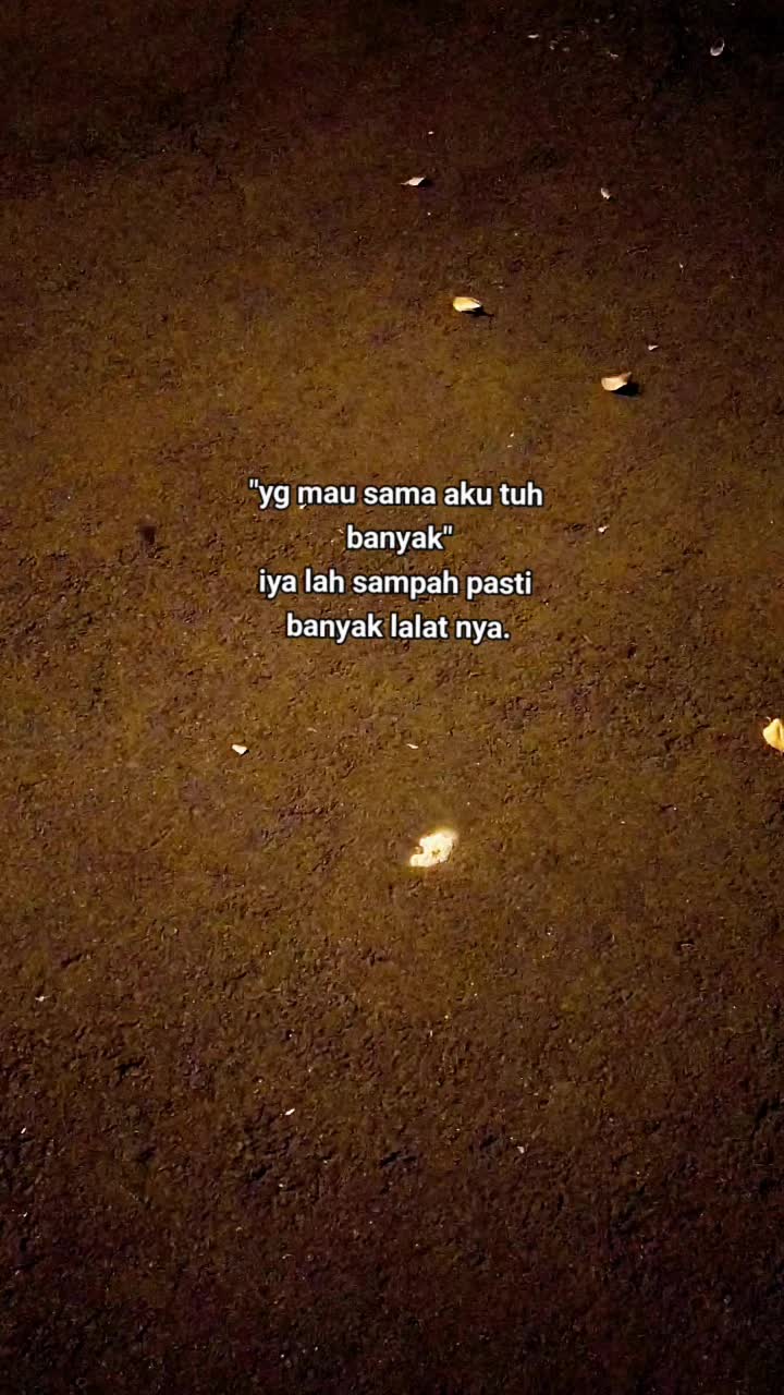 @I B N U ⚡