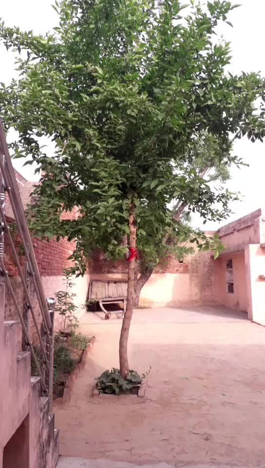 @neetu singh