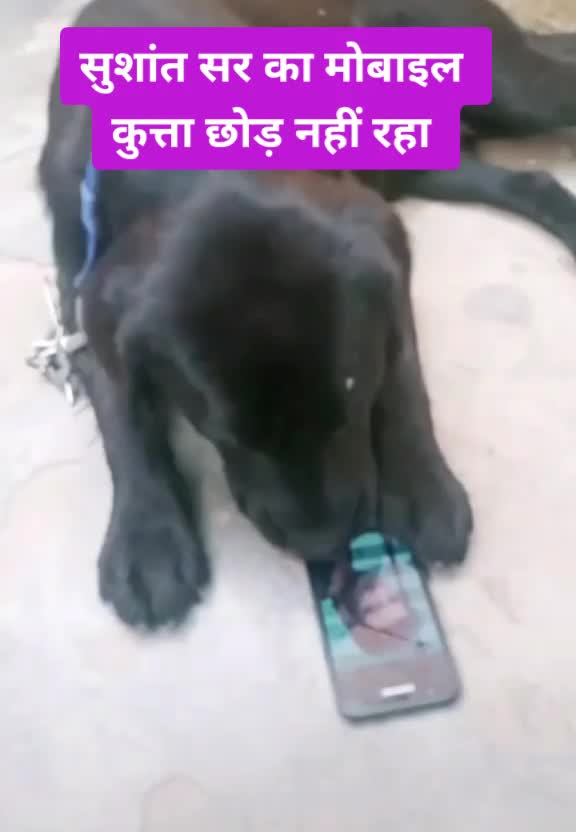 @Raju Sable