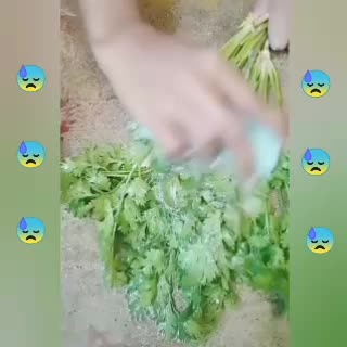 @P.U.