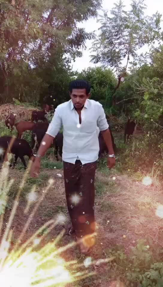 @Srikanth Reddy