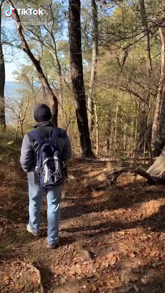 @Nimster