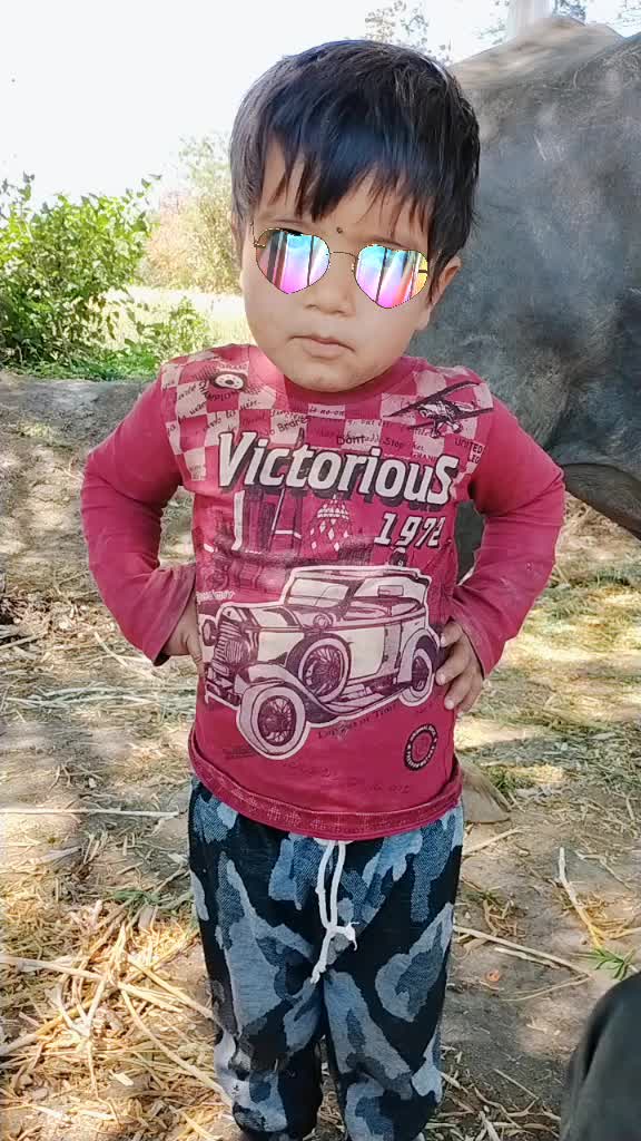 @gujrati boy