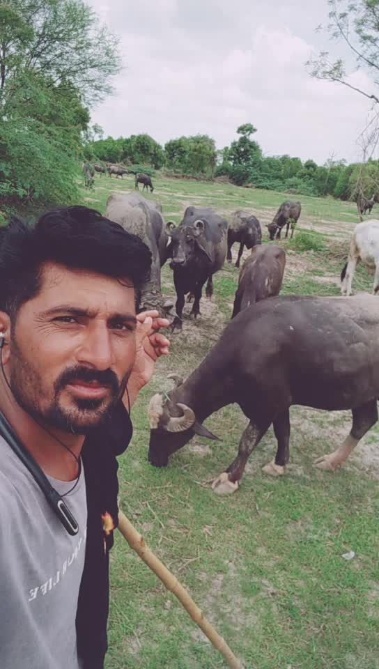 @HajiBhai malthari 🐴