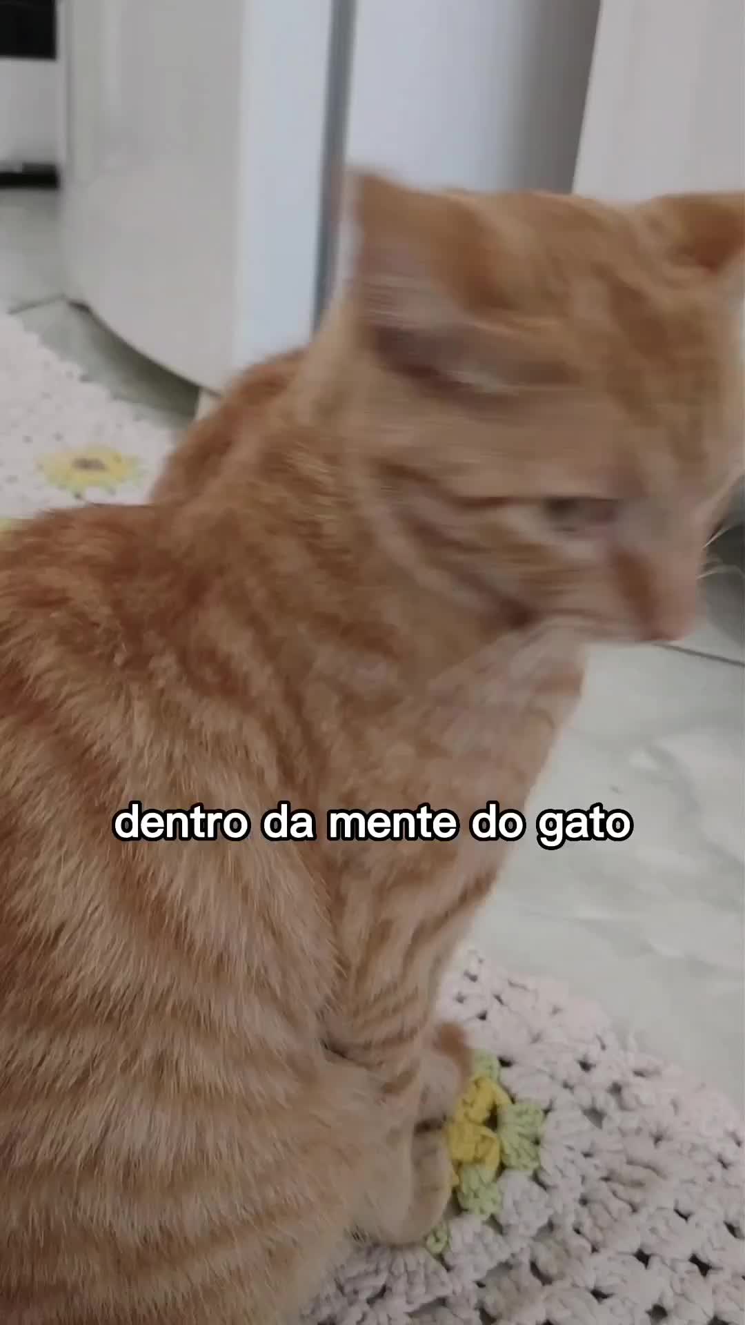 @Jennifer Abreu Pedroso