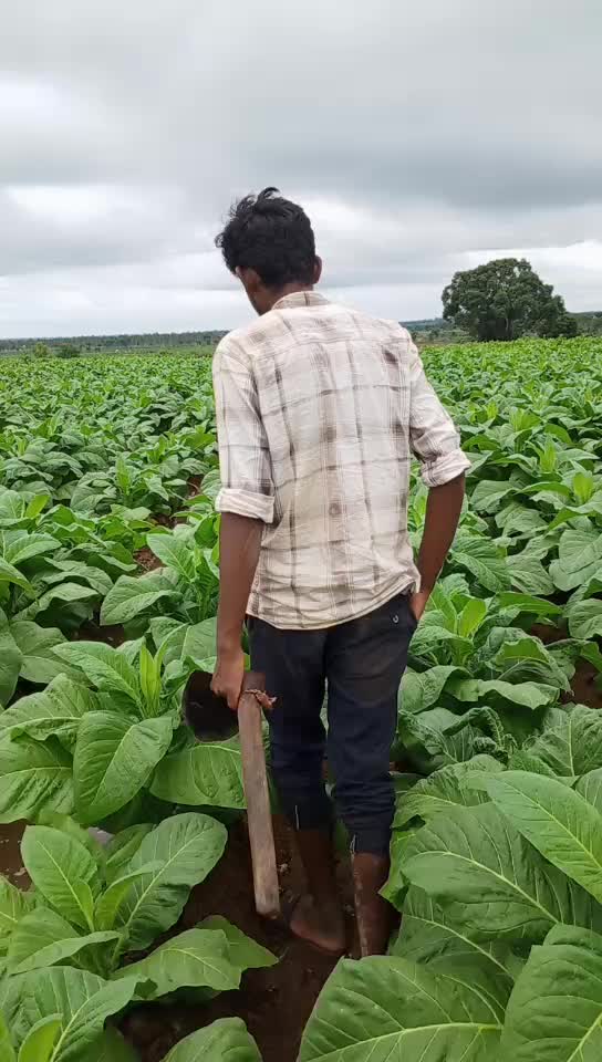 @gagan gowda