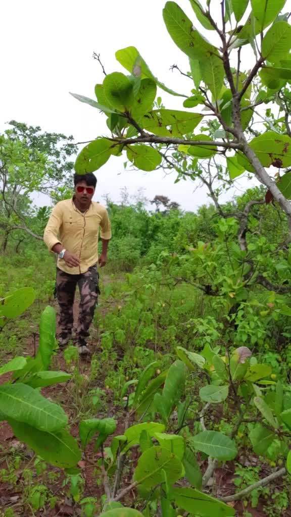 @Biplab Kundu