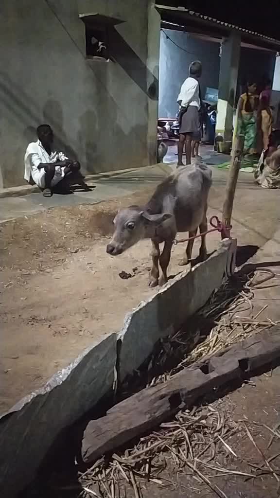 @Naru Nari