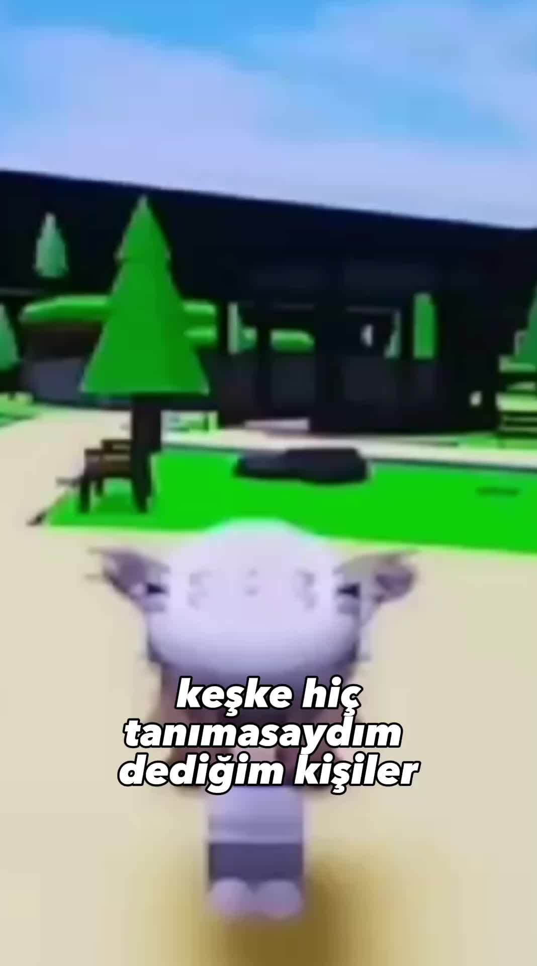 @Erva🪬