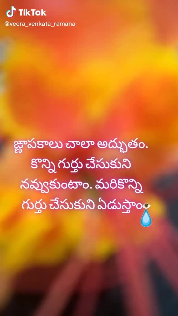 @meena d