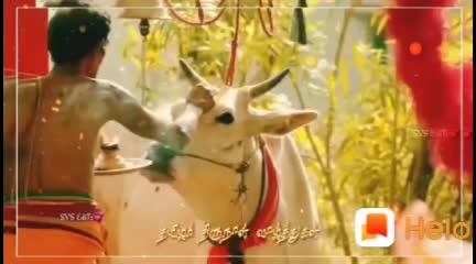 @asif kaif ali