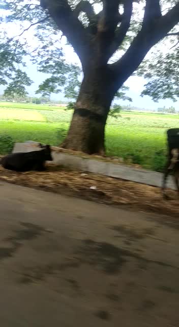 @vijay prabakaran