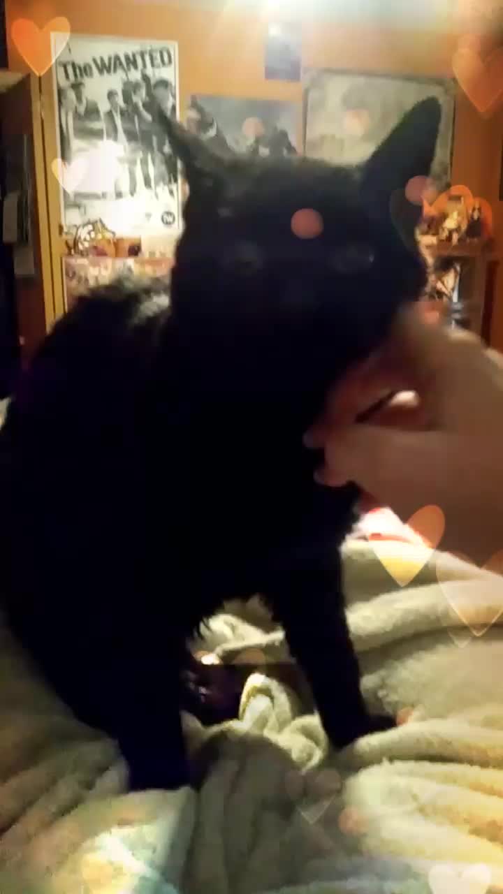 @Zoe