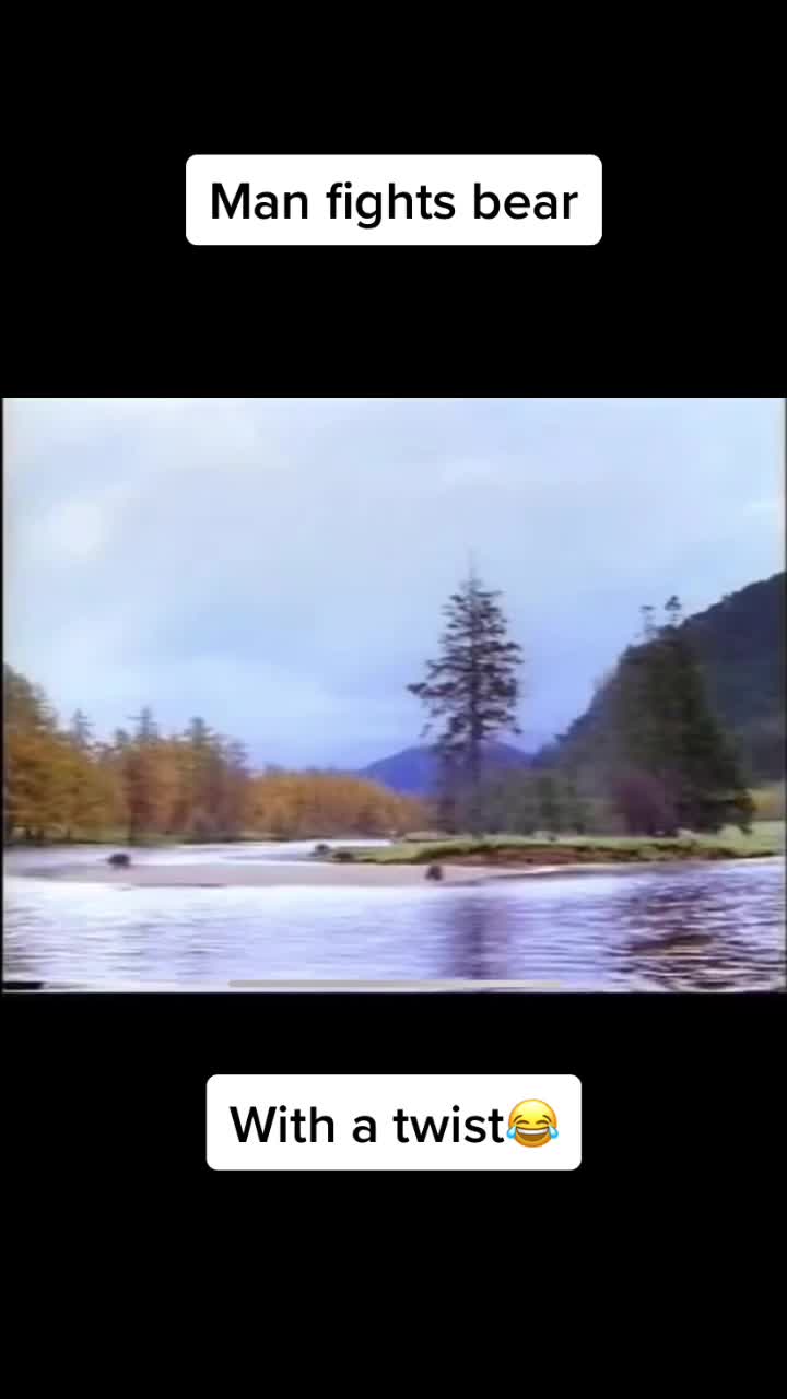 @When_animals_attack