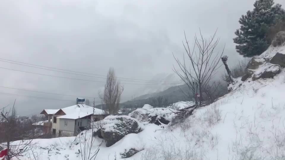 @cengizhan