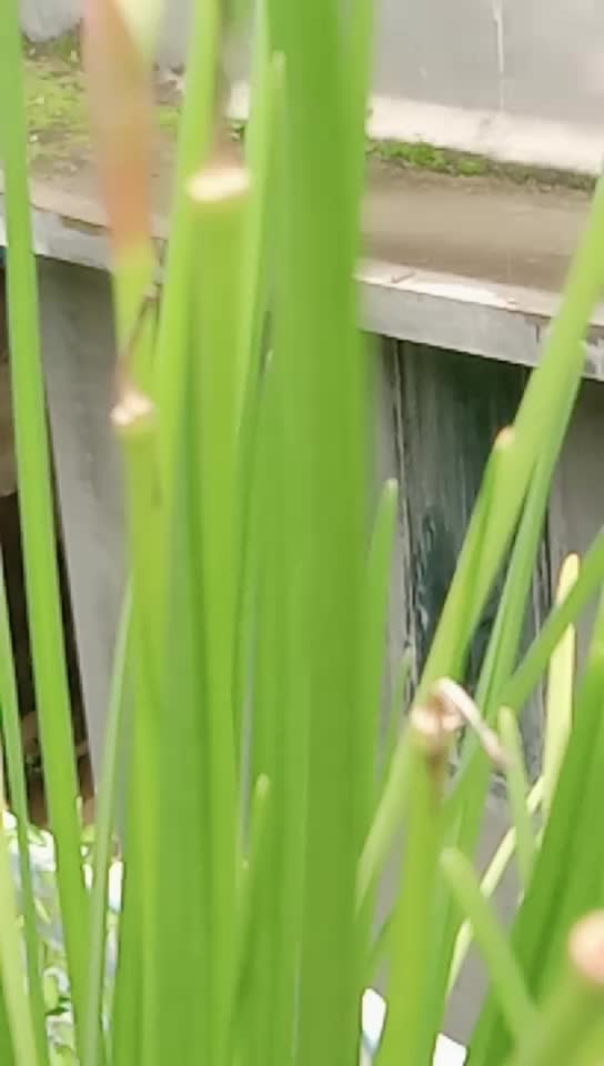 @തൃശ്ശൂർക്കാരി😎_🤗_✌