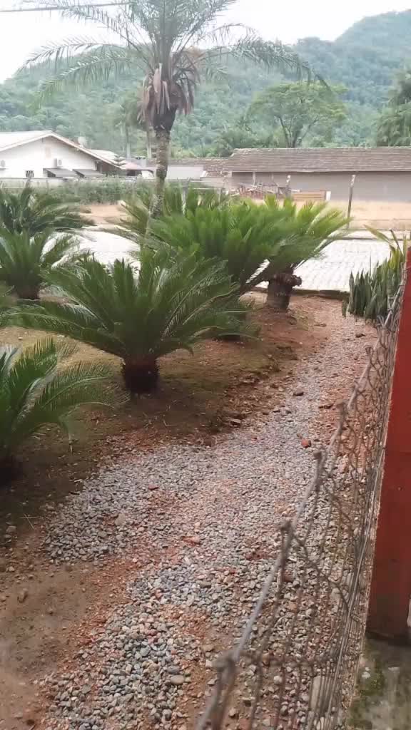 @Rosângela Corupá SC