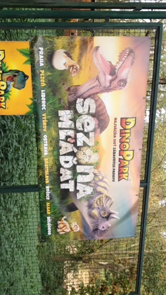 @Holubák Flóra
