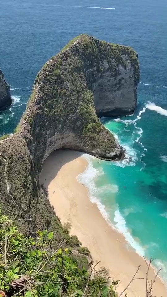 @Neto Vázquez Cárdenas