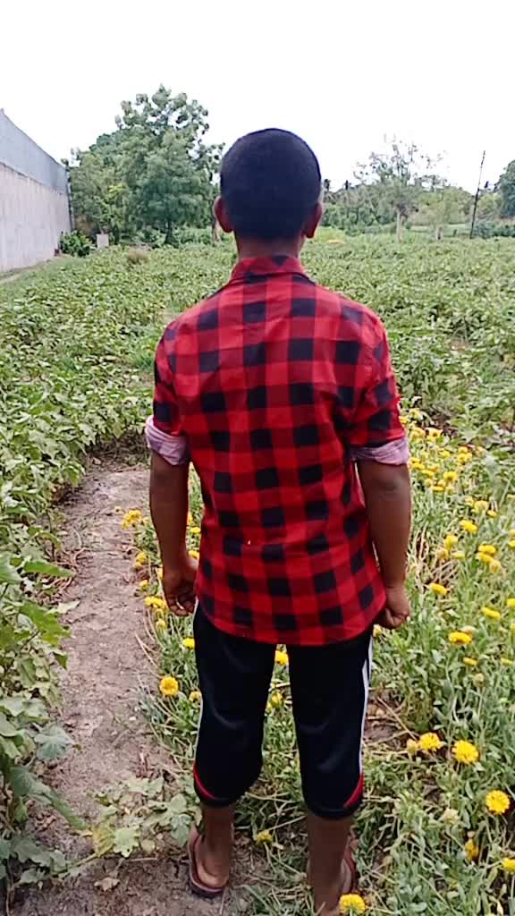 @Yash Dhage