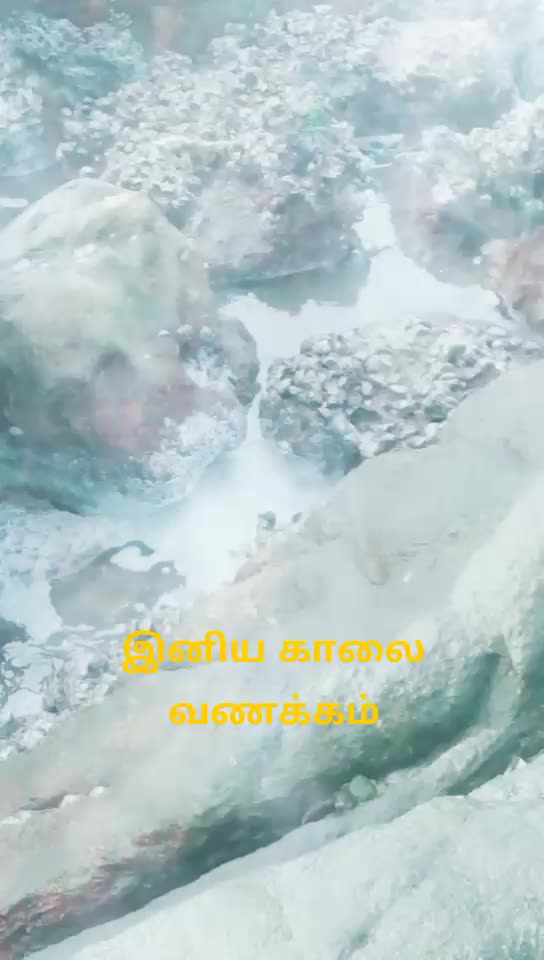 @@ நிக்சன்