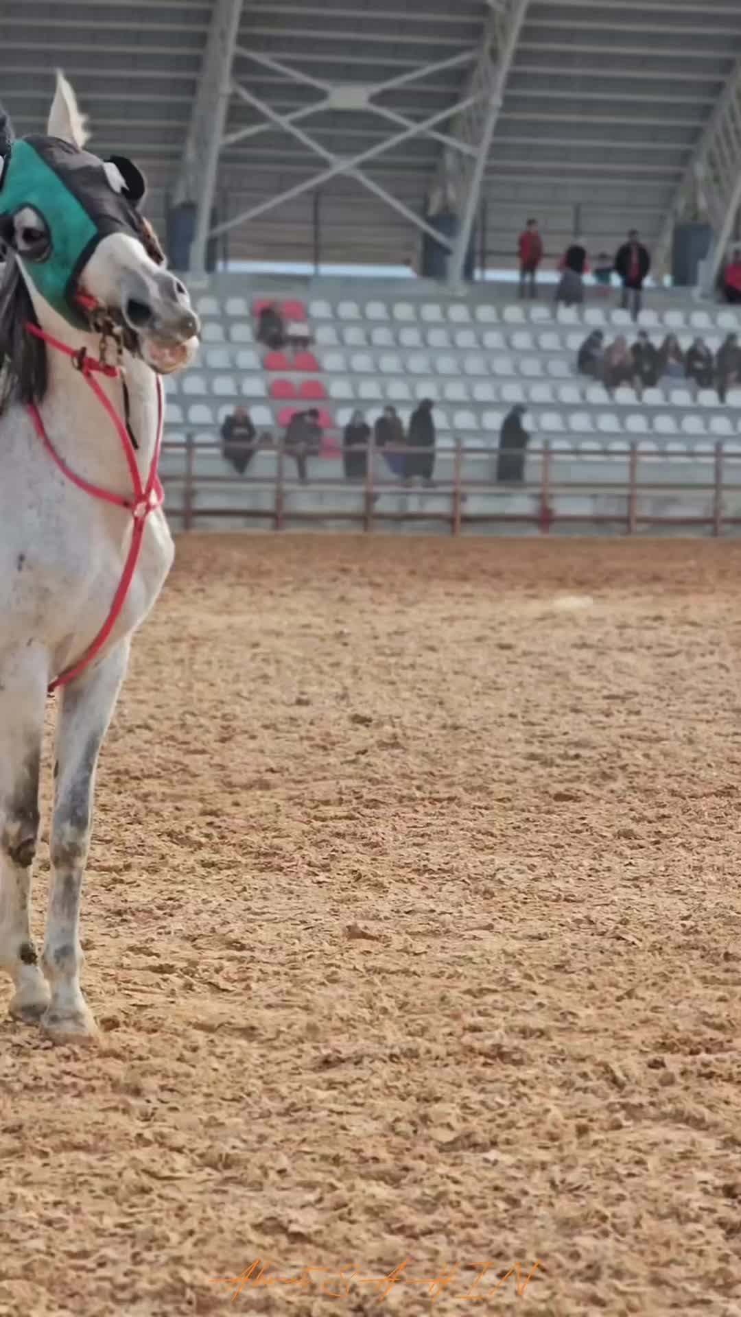 @Yusuf güler