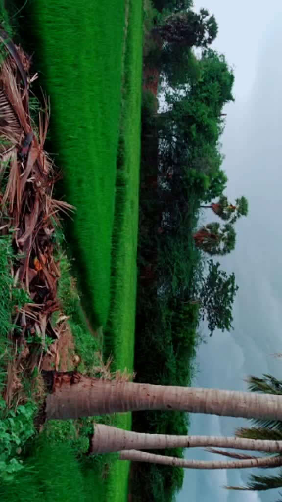 @IMMORTAL ROHITJAN
