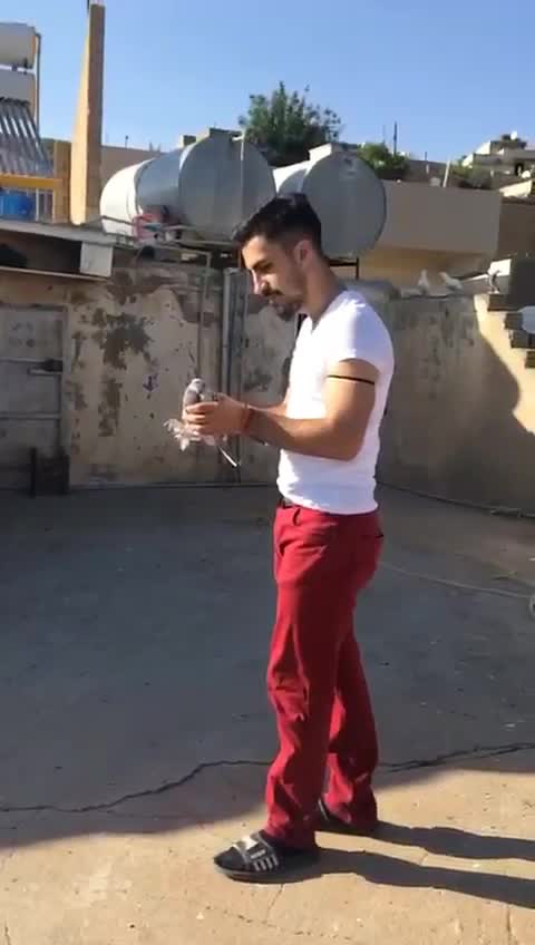 @sadettinarisss