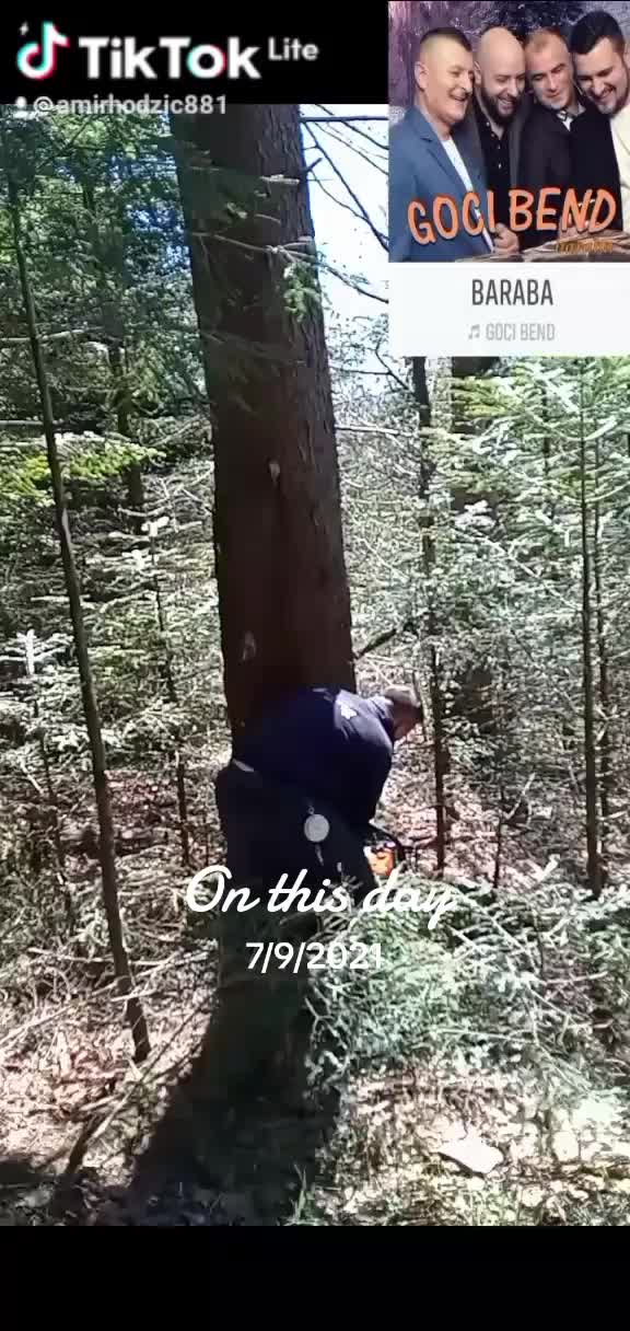 @amirhodzic881