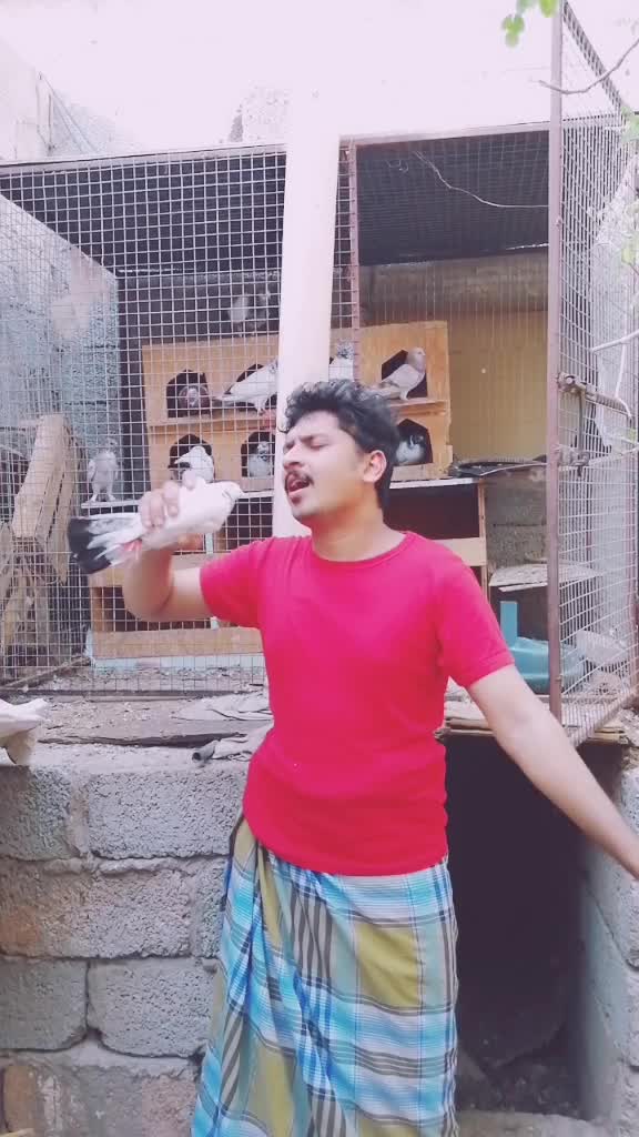 @nazeerikka