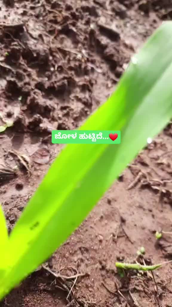 @ಮುದ್ದುರಾಜ್ ಗೌಡ