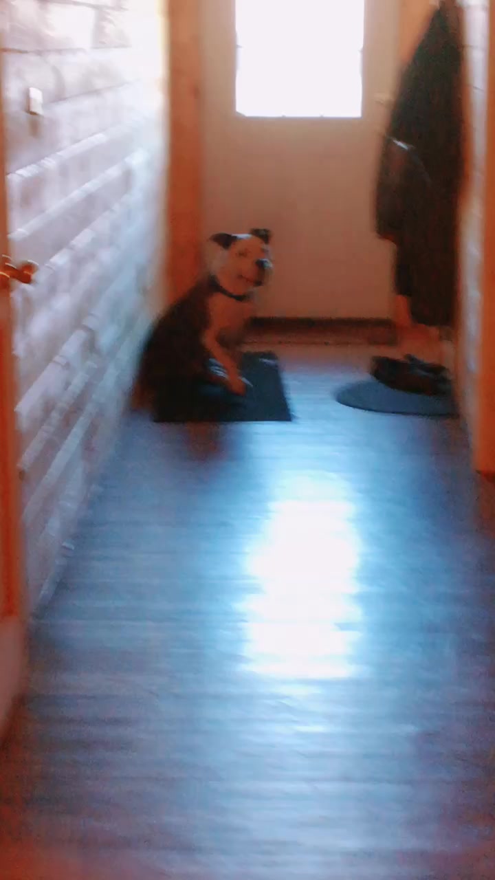 @lilpanda