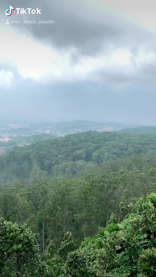 @TN 77