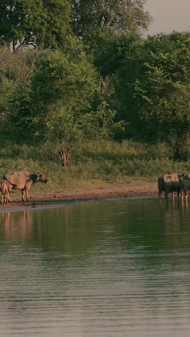 @Sri Lanka