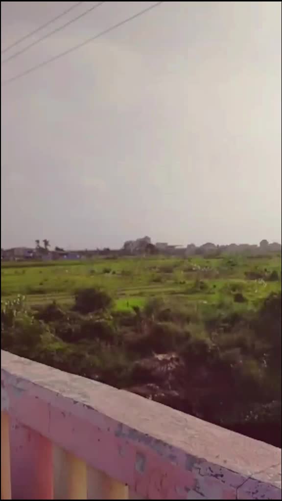 @Saif Ali khan 957