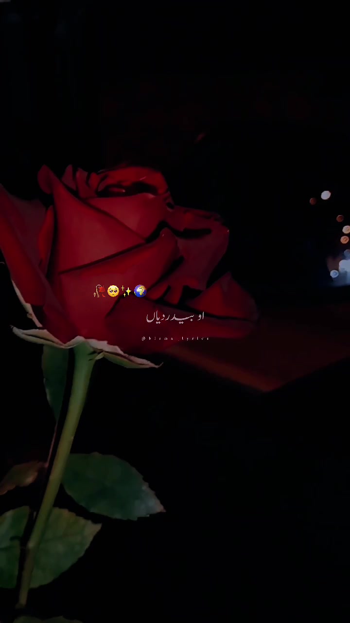 @๐ฟ๐ฆ๐๐๐๐ ๐น๐๐๐โจ