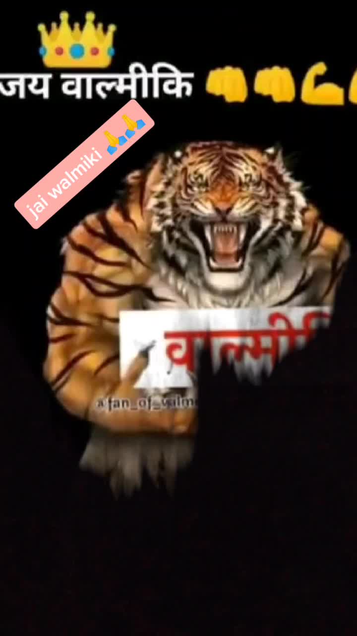 @abhi walmiki