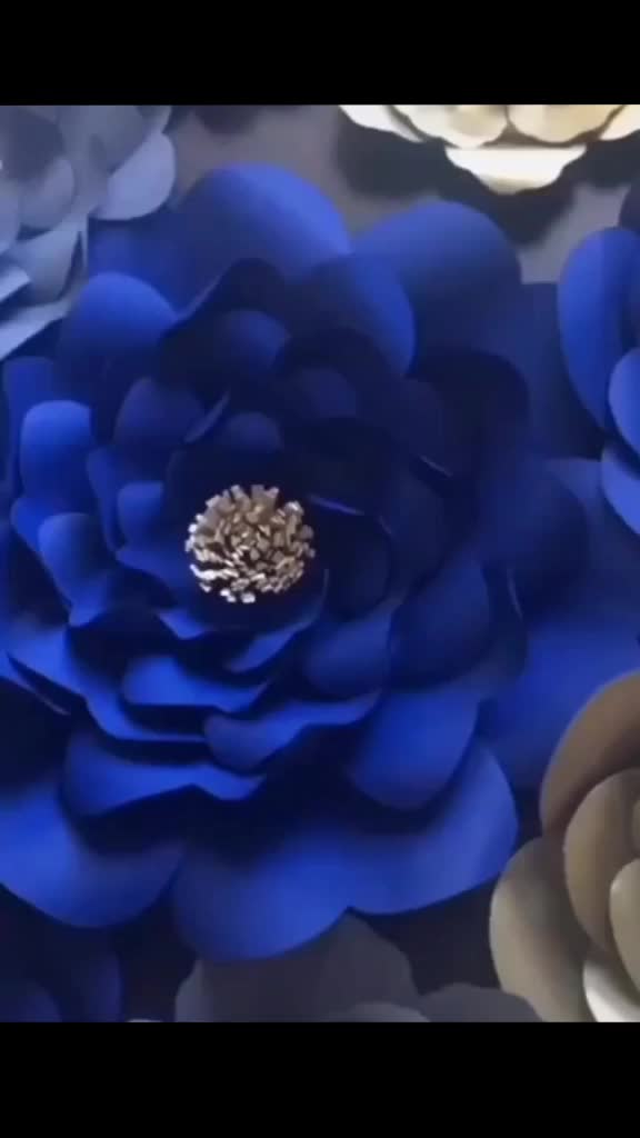 @afsarsayed422238