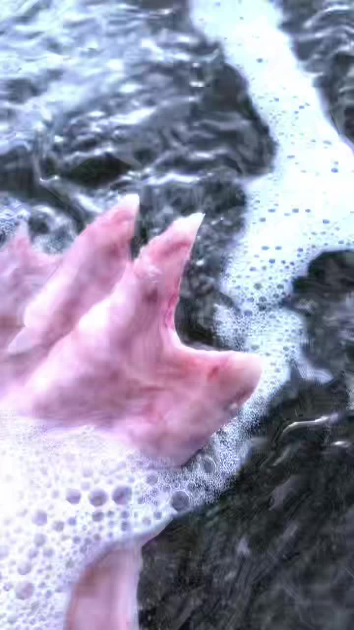 @kurague🐟