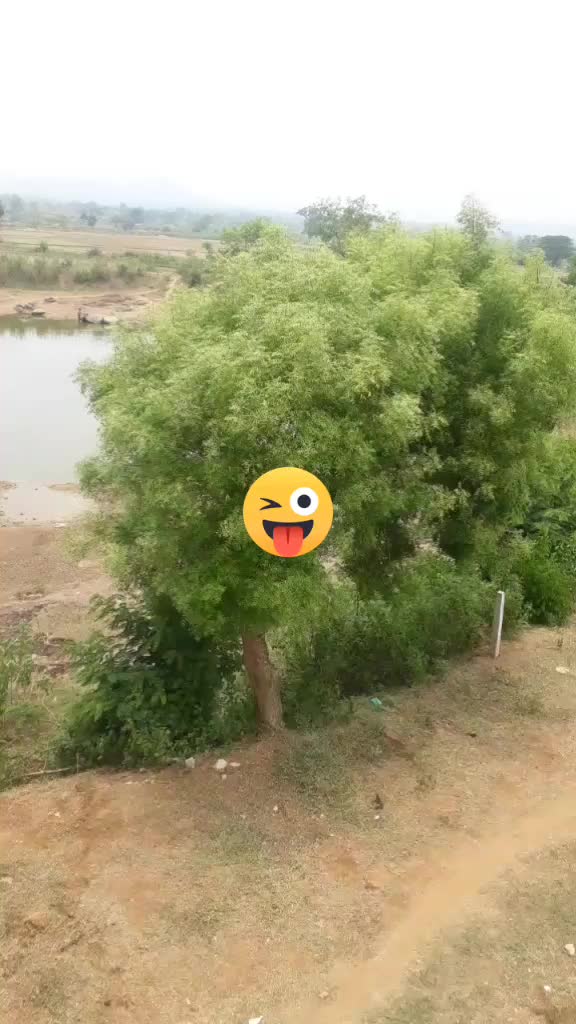 @Sagarika Dhala