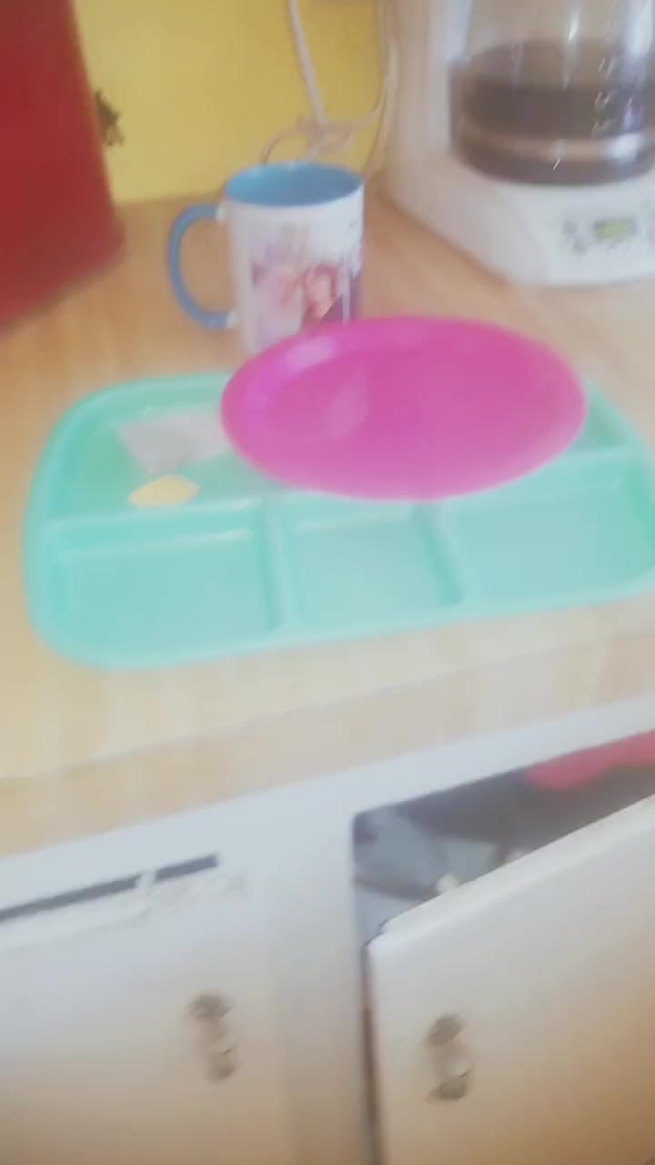 @kitten