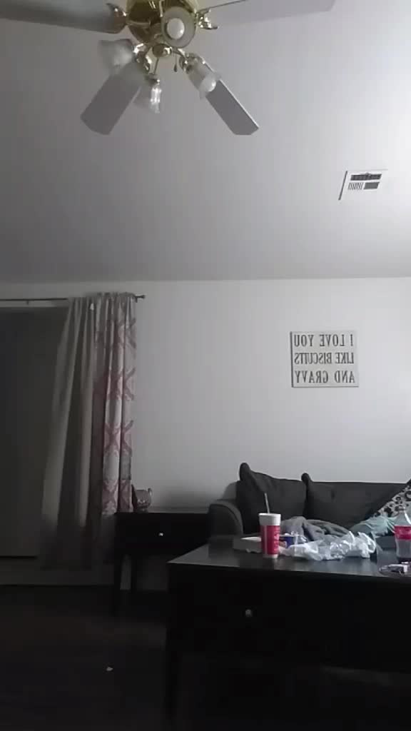 @famouselexi