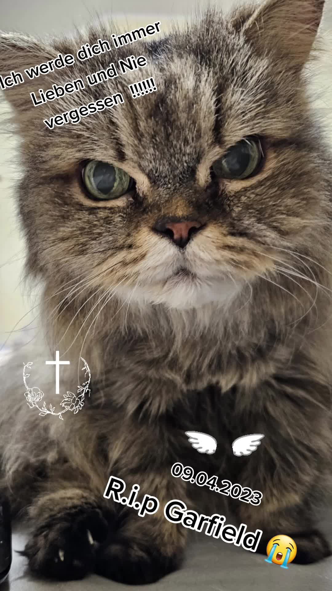 @❤️Janet,Teddy und Blümchen❤️