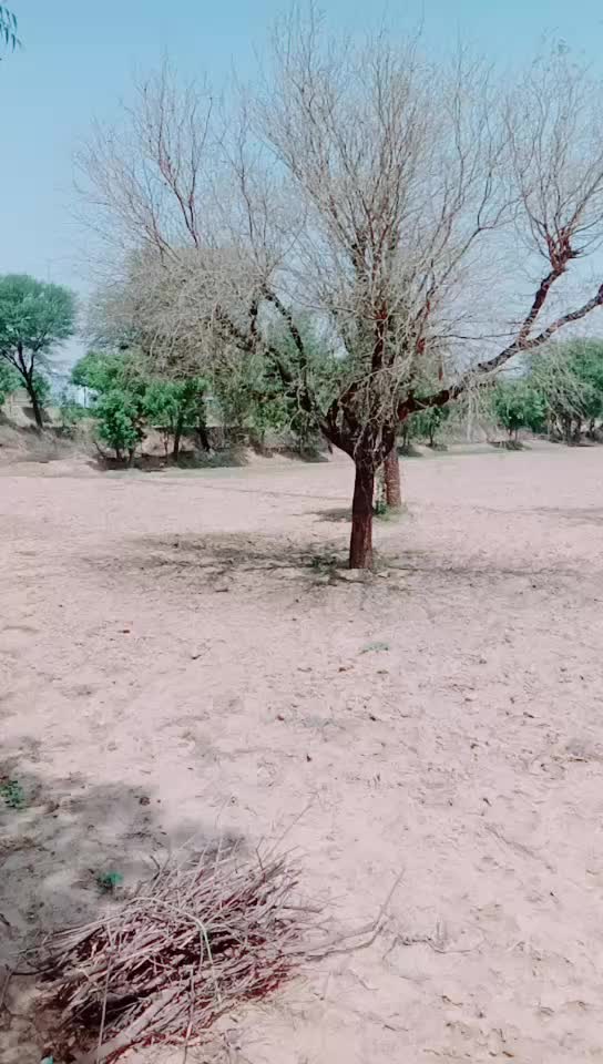 @kiran saini manpur 1