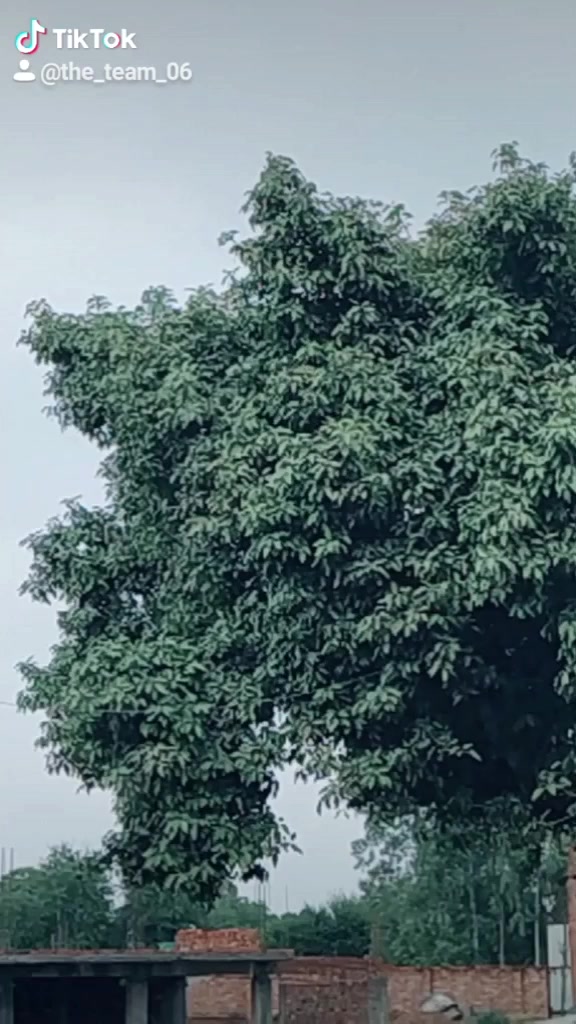 @Mohd_Ajmal_17
