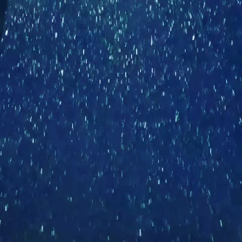 @dngszking