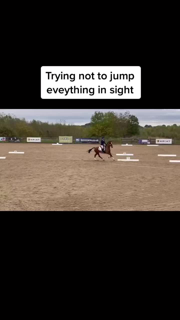 @ypequestrian